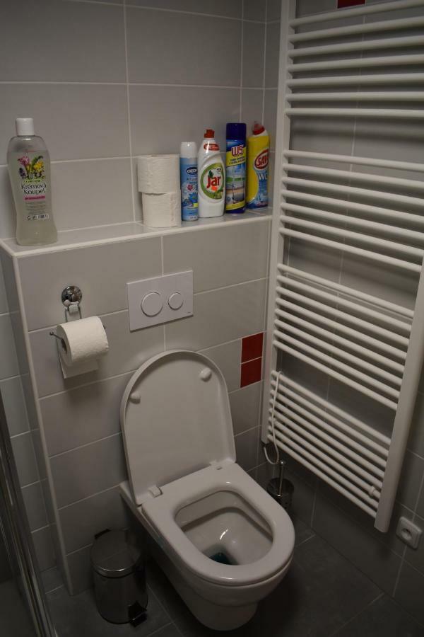 Apartma Fara Loučná nad Desnou Exteriör bild